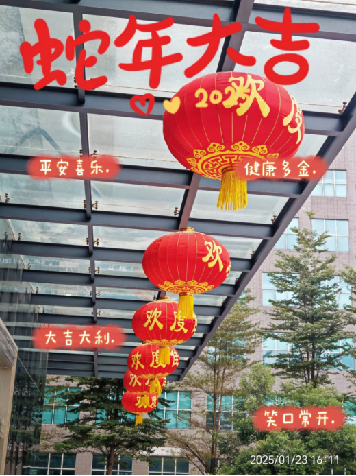 靈蛇舞動迎新春，喜氣洋洋滿乾坤